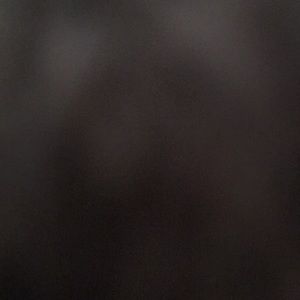 Meet your Posher, Garry